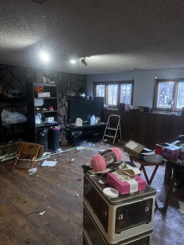 Constellation: before, basement family room